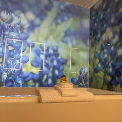 Archer Hotel Austin - Bluebonnet bubble bath