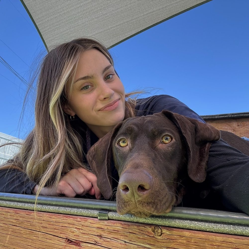 Paw Commons - pet boarding facility in Tucson, AZ