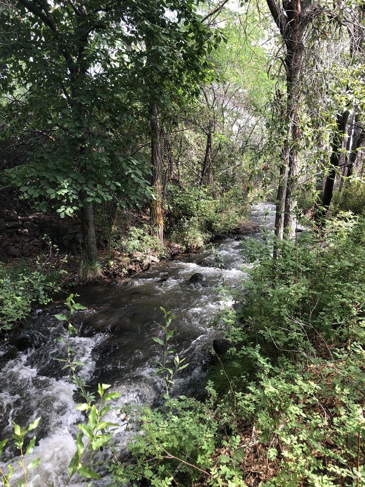 THE CEDAREDGE LODGE Updated July 2024 35 Photos & 22 Reviews 810