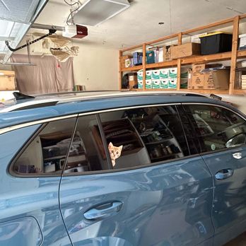 Chico Volkswagen - 2025 Tiguan SEL R Line with kitty decal. - Car Dealers Near Me - Chico, California