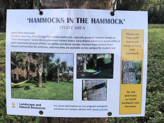 UCF Arboretum by null