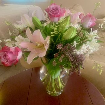 1. Primavera Plants & Flowers