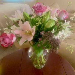 Primavera Plants & Flowers