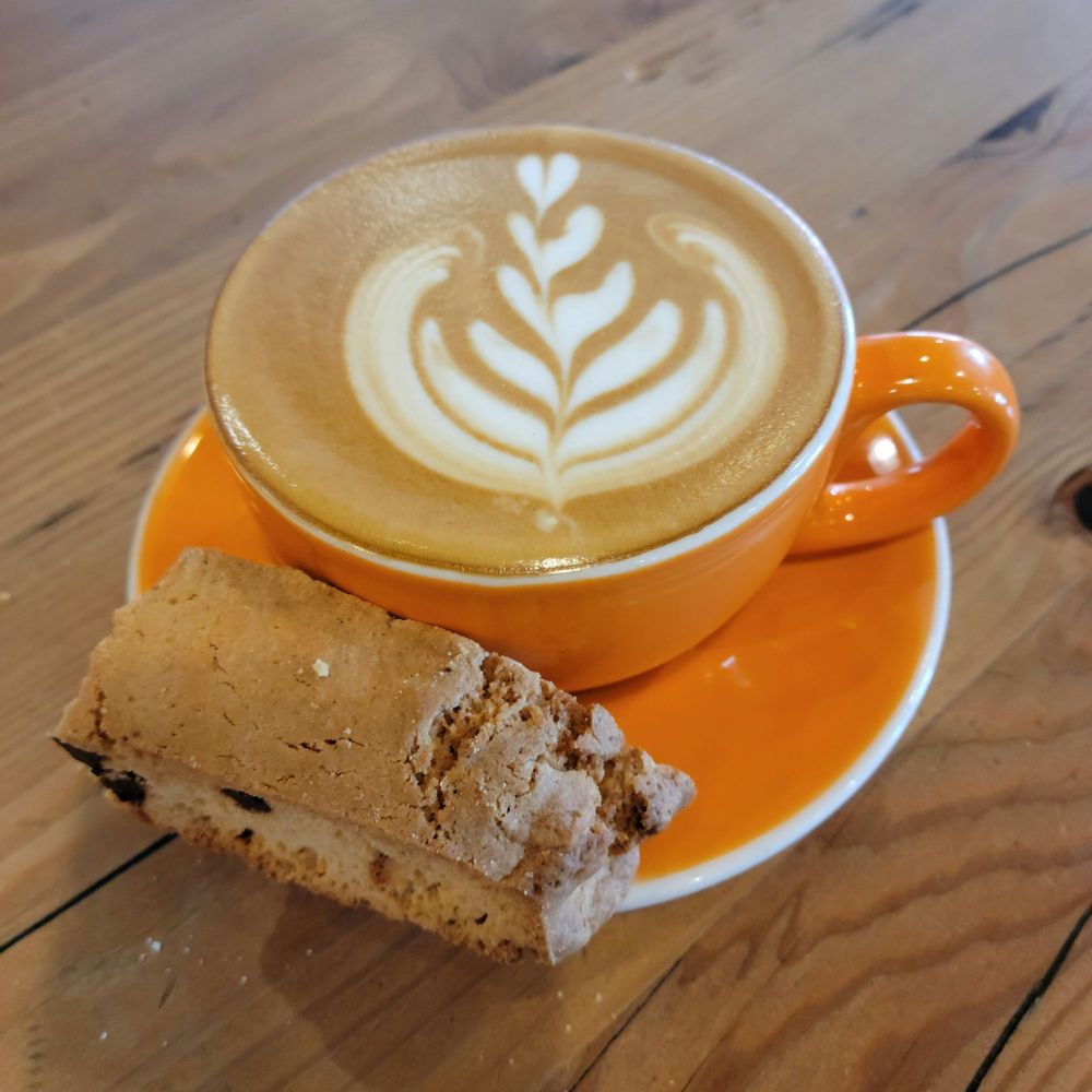 Mongo's Coffee - Coffee & Tea Near Me - Syosset, New York Mongo's Coffee - Coffee & Tea Near Me - Syosset, New York