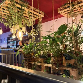 Amélio - Love the hanging plants & lights. - Modern European Near Me - London, XGL