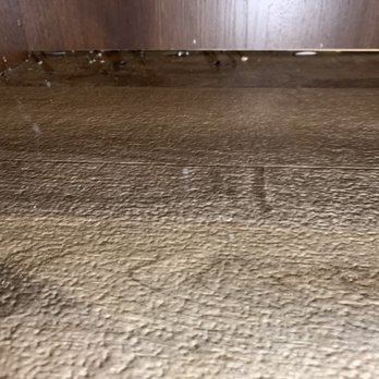 Crestview RV - Georgetown - More rat droppings. - RV Dealers Near Me - Georgetown, Texas Crestview RV - Georgetown - More rat droppings. - RV Dealers Near Me - Georgetown, Texas