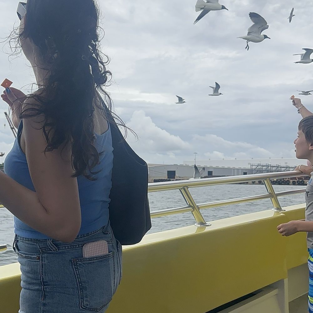 Sea Screamer - Feeding seagulls - Boat Charters Near Me - Panama City, Florida Sea Screamer - Feeding seagulls - Boat Charters Near Me - Panama City, Florida