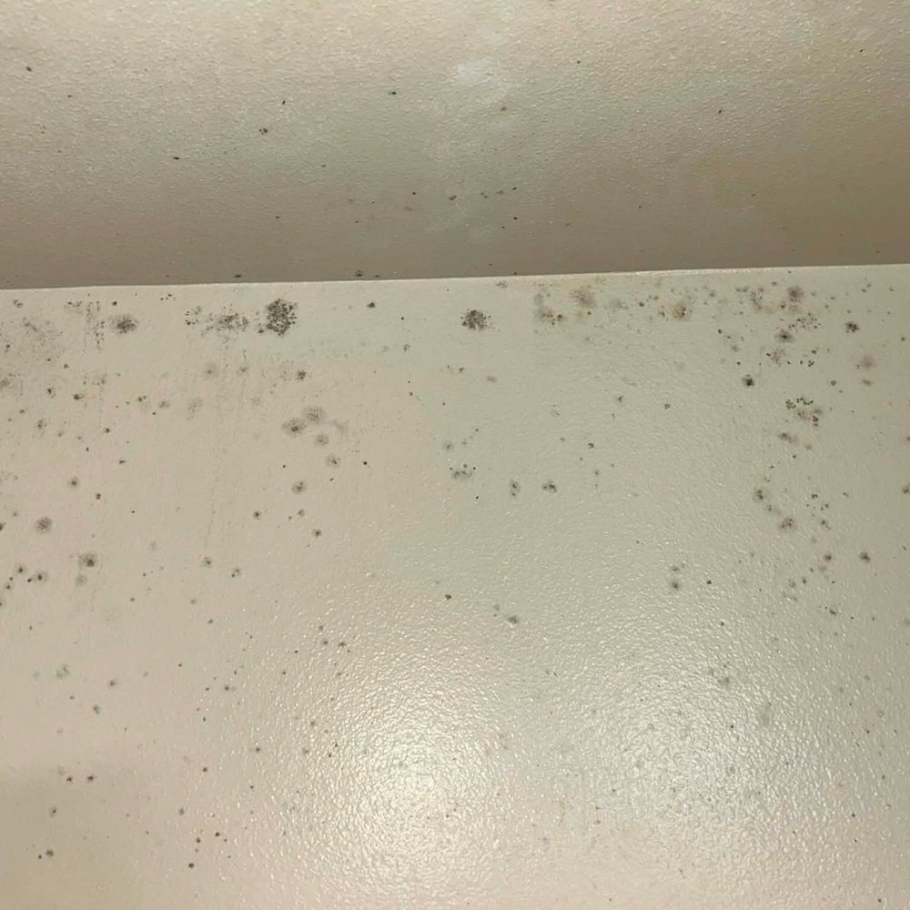 Spring Mountain Apartments - More mold - Apartments Near Me - Corning, California Spring Mountain Apartments - More mold - Apartments Near Me - Corning, California