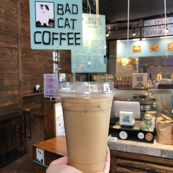 Bad Cat Coffee - Iced Coffee (I think I got coconut flavor but can't remember for sure) - Coffee & Tea Near Me - Raleigh, North Carolina