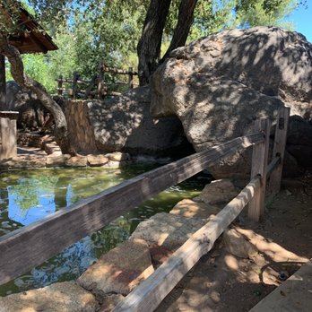 Janet's Montana Cafe - Outside seating next to the pond - American Near Me - Alpine, California Janet's Montana Cafe - Outside seating next to the pond - American Near Me - Alpine, California