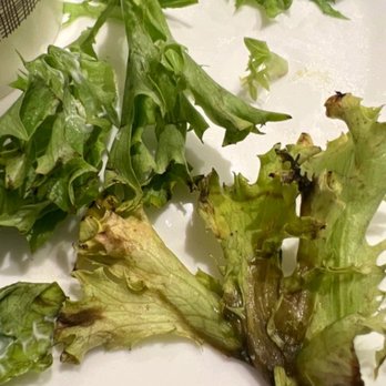 Panera Bread - Salad Near Me - Lubbock, Texas Panera Bread - Salad Near Me - Lubbock, Texas