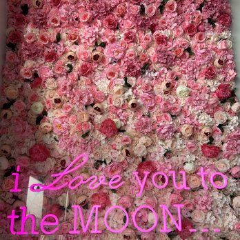 Moonscoops Ice Creamery - Ice Cream & Frozen Yogurt Near Me - Marina, California