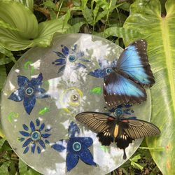 Stratford-Upon-Avon Butterfly Farm