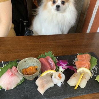 Momokawa - Assorted Sashimi - Japanese Near Me - New York, New York