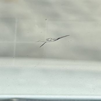 RightWay Auto Glass - Crack AFTER the "repair" - Auto Glass Services Near Me RightWay Auto Glass - Crack AFTER the "repair" - Auto Glass Services Near Me