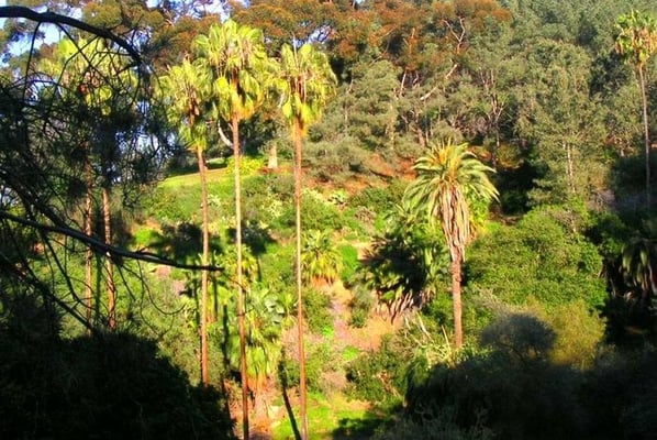 Presidio Park by null