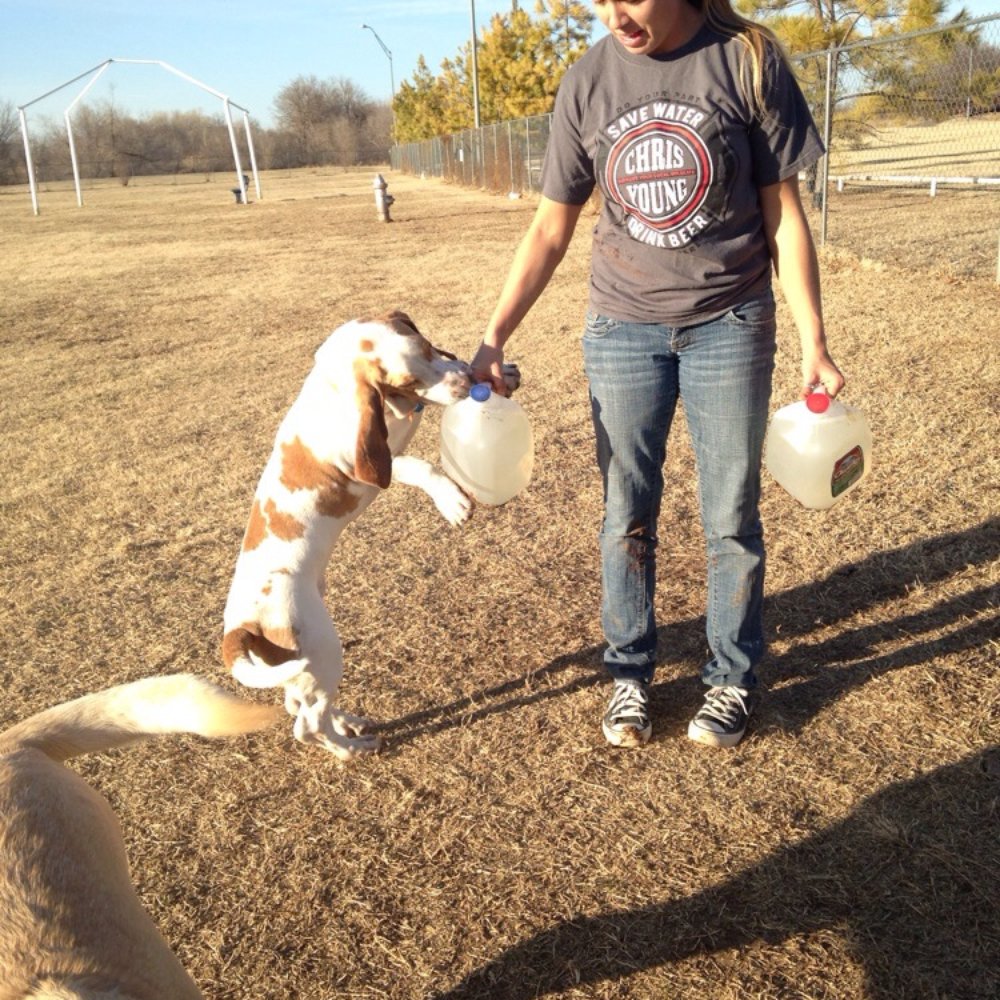 Wiggly Field - Wanting the water - Dog Parks Near Me - Del City, Oklahoma