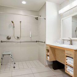 Home2 Suites by Hilton Oxford, AL - Guest room bath