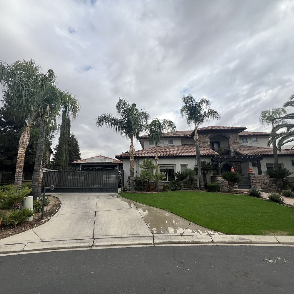 Empire Tree Service - We have plenty of palms of different varieties and we like the fuller tops. They ask how you want them BEFORE they cut. - Tree Services Near Me Empire Tree Service - We have plenty of palms of different varieties and we like the fuller tops. They ask how you want them BEFORE they cut. - Tree Services Near Me