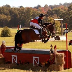Alyssa Walker Eventing