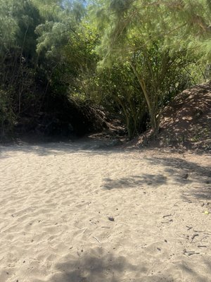 Slaughterhouse Beach by null