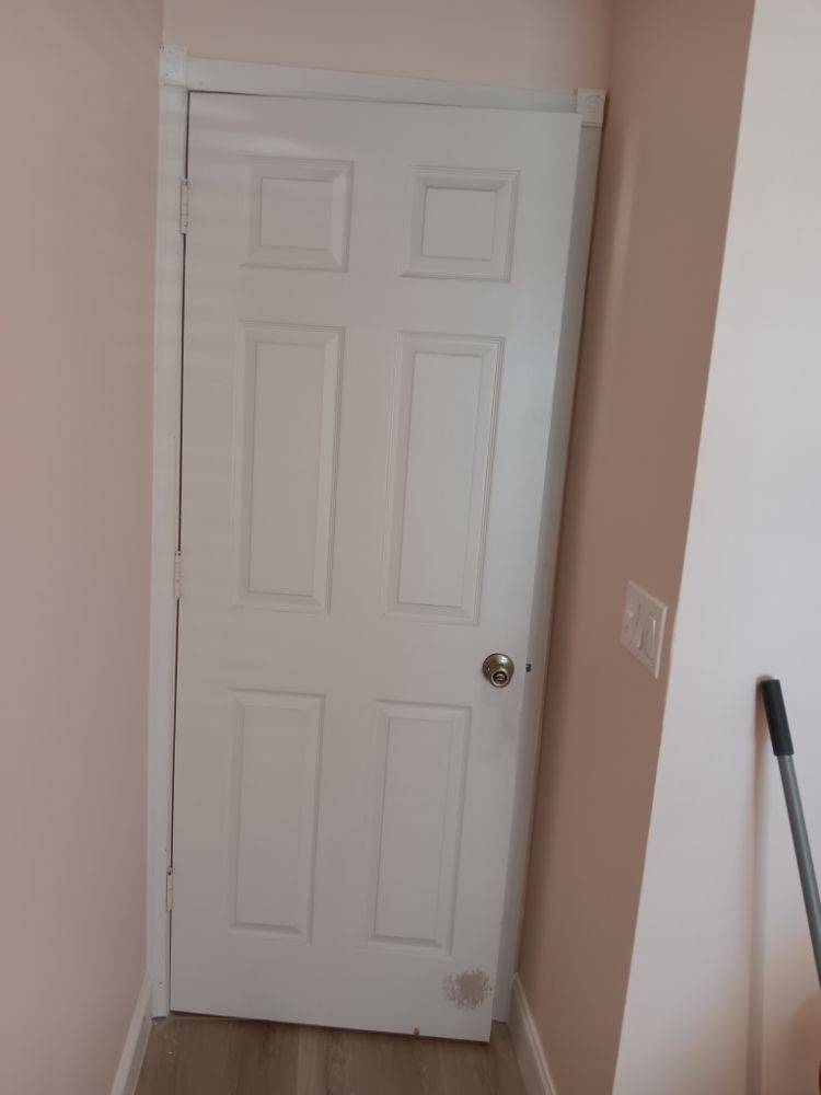 Slide of Pakmarica Painters Florida