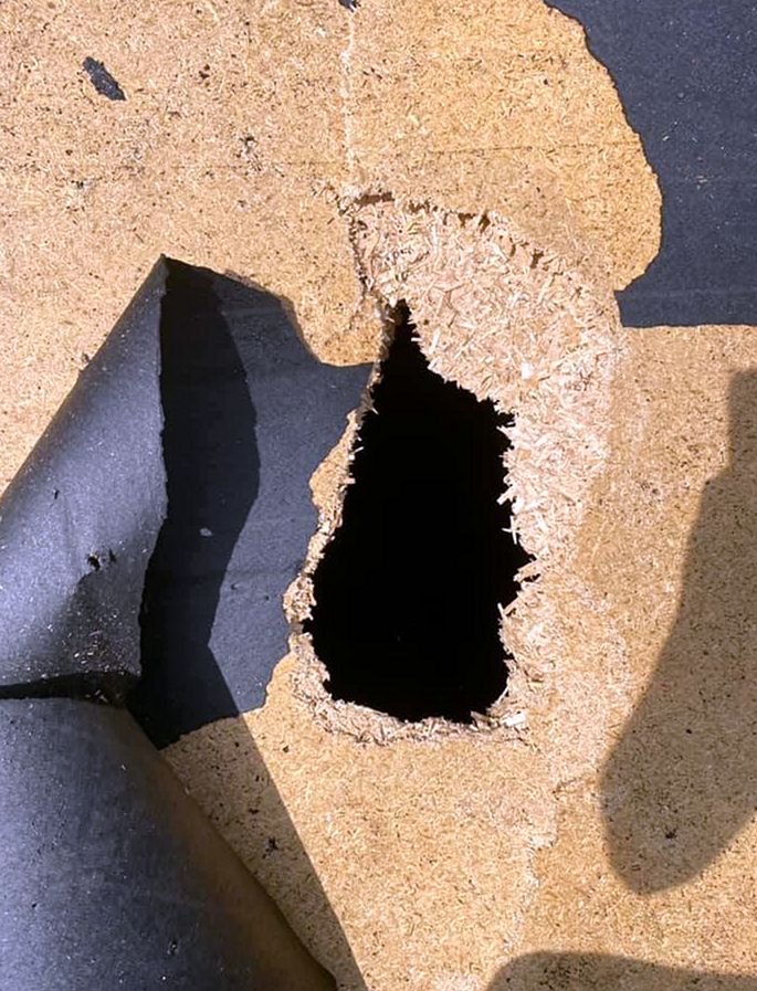 Slide of Delaney Park Roofing