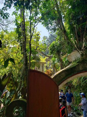 Las Pozas by null