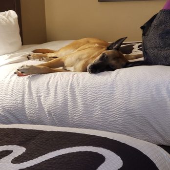 La Quinta by Wyndham Eugene - Hotels Near Me - Eugene, Oregon