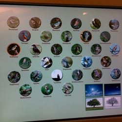 Bioversum Kranichstein - Museum biologischer Vielfalt