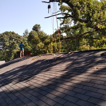 Jose's Tree Service - Tree Services Near Me Jose's Tree Service - Tree Services Near Me