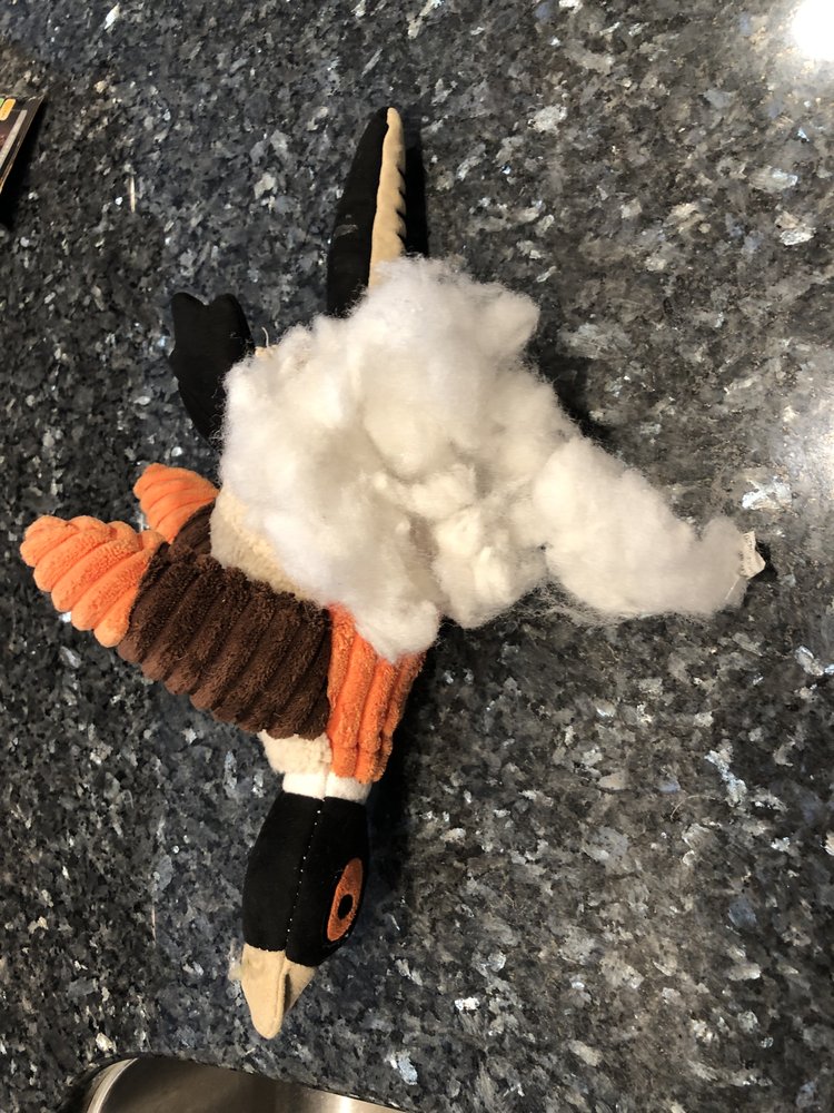 WOOF GANG BAKERY & GROOMING JACKSONVILLE, NC Updated October 2024