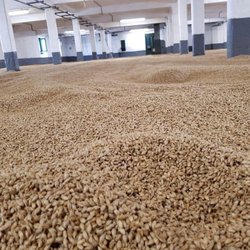 Carpet Direct