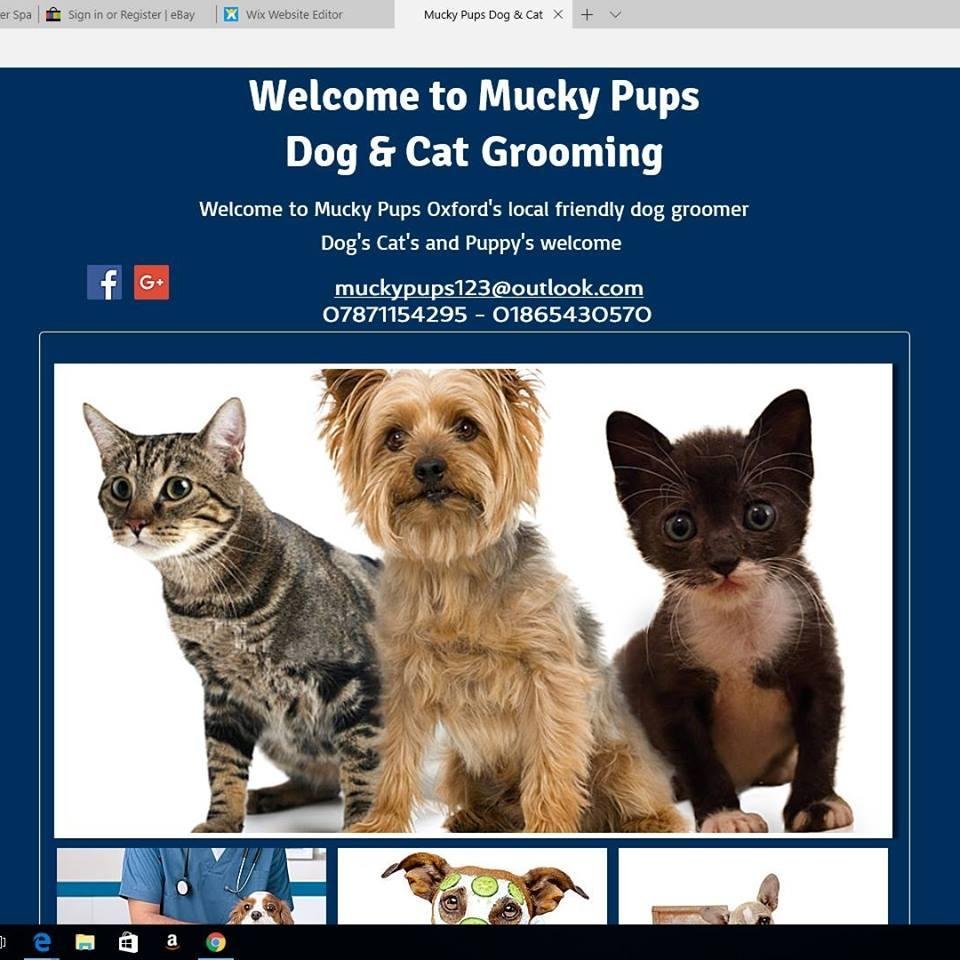 MUCKY PUPS DOG & CAT GROOMING SERVICE Updated August 2024 25 Photos