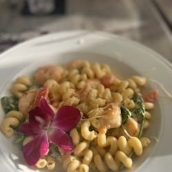 Jinks Creek Waterfront Grille - Pasta dish sub with shrimp
