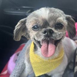 Look at that smile!! Look at that smile!!