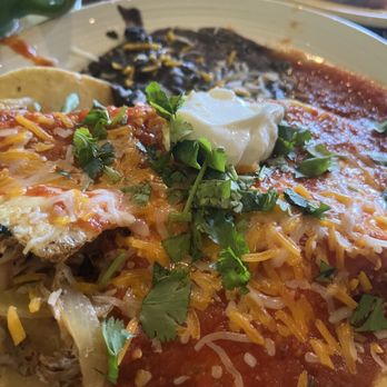 Blackbird Café - Huevos Rancheros - Cafes Near Me - Long Beach, California Blackbird Café - Huevos Rancheros - Cafes Near Me - Long Beach, California