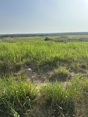 Sankaty Head Lighthouse by null