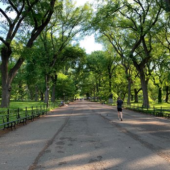 Central Park Conservancy - Parks Near Me - New York, New York