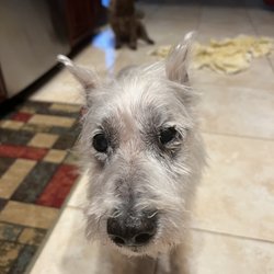 Sanlando Springs Animal Hospital