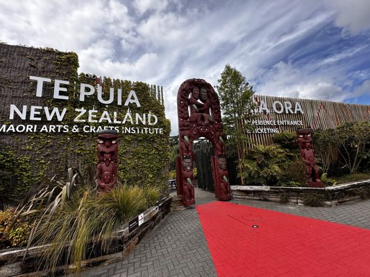 Te Puia - Rotorua, NZ by null