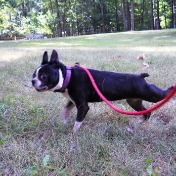 Cheramar Kennel - Pet Sitting Near Me