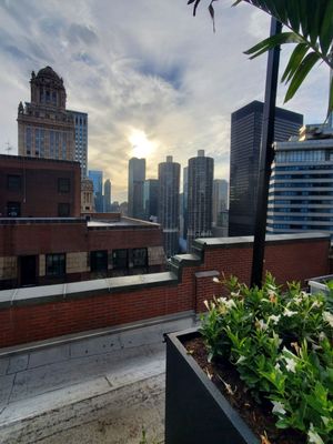 Château Carbide by null