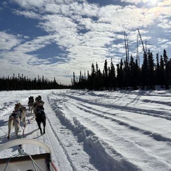 Rod's Alaskan Guide Service - Fishing Near Me - North Pole, Alaska Rod's Alaskan Guide Service - Fishing Near Me - North Pole, Alaska