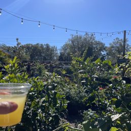 $5 mimosas plus beautiful surroundings. $5 mimosas plus beautiful surroundings.
