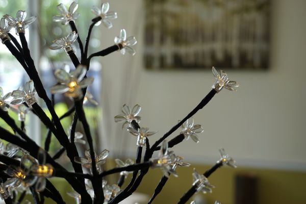 DORAL SPA AND SKIN CARE - 23 Photos - Day Spas - 10200 NW 25th St