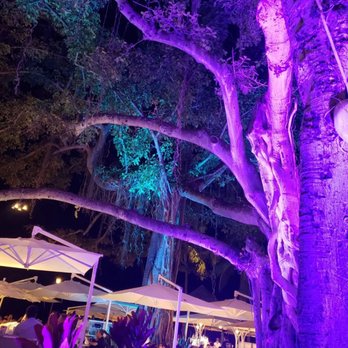 The Beach Bar - Bars Near Me - Honolulu, Hawaii
