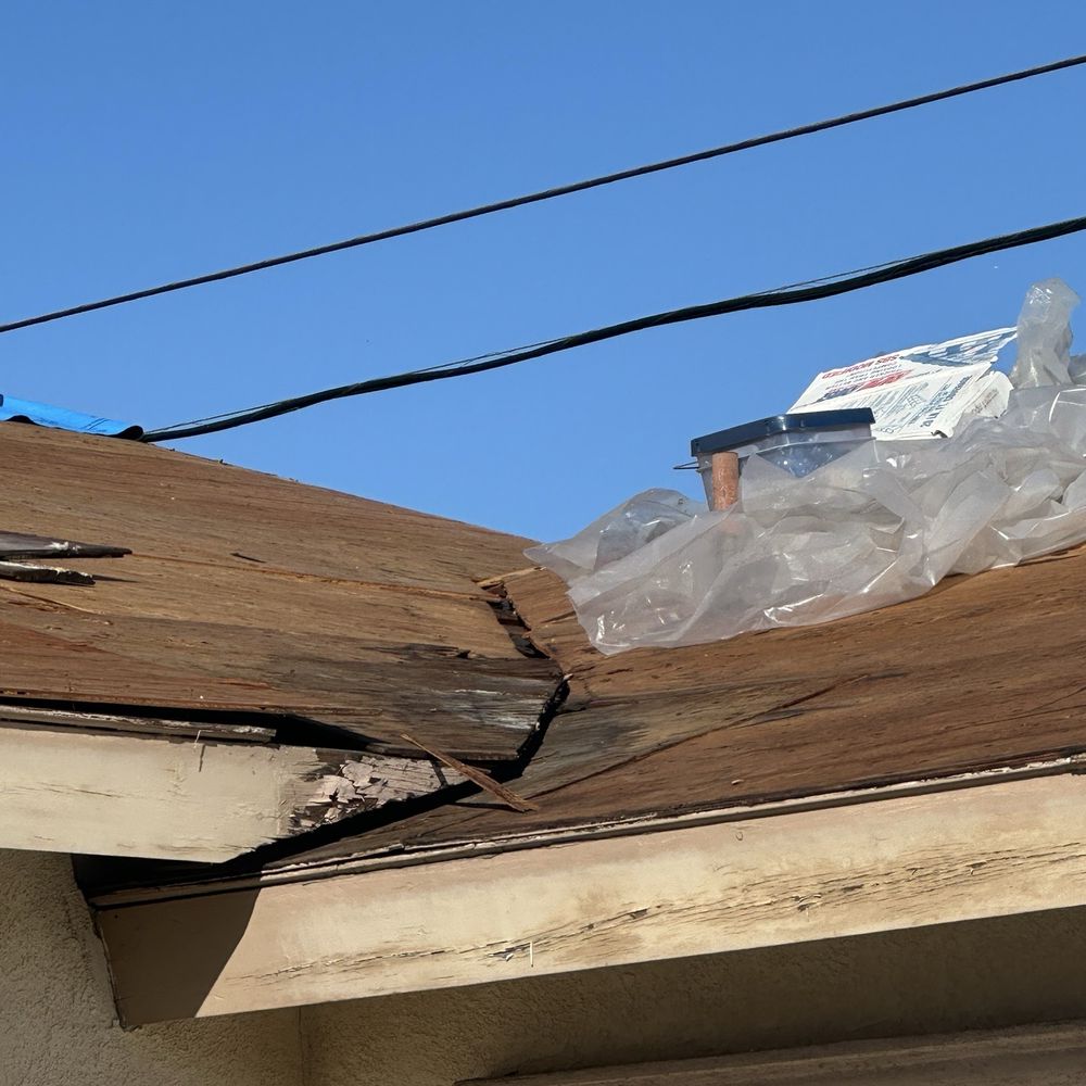 Wood damage Wood damage