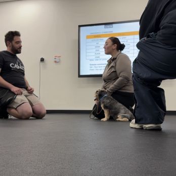 CANIS - Behavior and Training - Pet Training Near Me - Tarzana, California