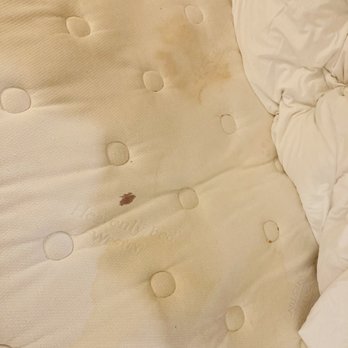 Heritage Inn Express - Blood - Hotels Near Me - Hayward, California